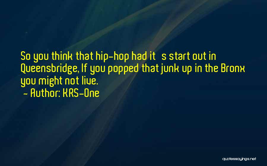 KRS-One Quotes: So You Think That Hip-hop Had It's Start Out In Queensbridge, If You Popped That Junk Up In The Bronx