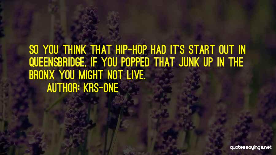 KRS-One Quotes: So You Think That Hip-hop Had It's Start Out In Queensbridge, If You Popped That Junk Up In The Bronx