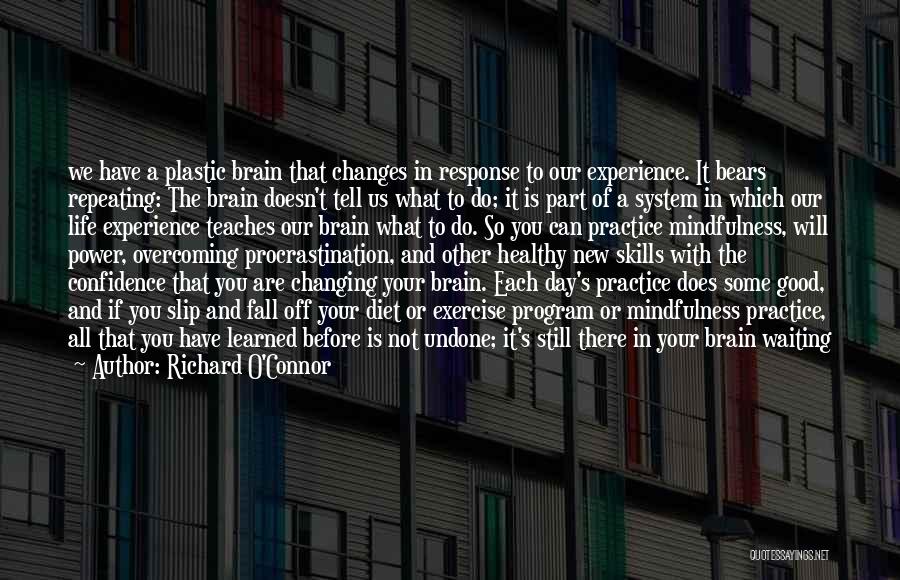 Richard O'Connor Quotes: We Have A Plastic Brain That Changes In Response To Our Experience. It Bears Repeating: The Brain Doesn't Tell Us