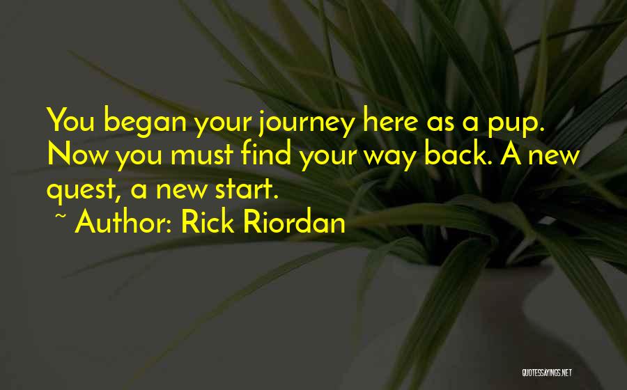 Rick Riordan Quotes: You Began Your Journey Here As A Pup. Now You Must Find Your Way Back. A New Quest, A New