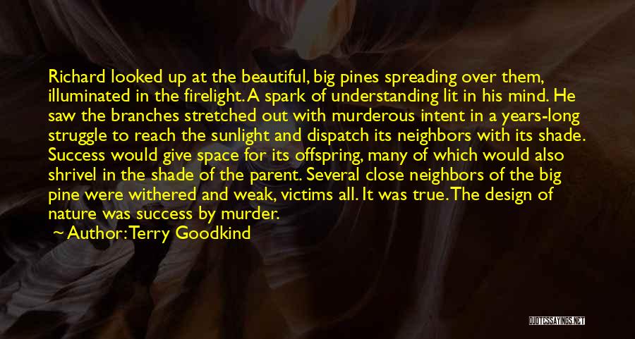 Terry Goodkind Quotes: Richard Looked Up At The Beautiful, Big Pines Spreading Over Them, Illuminated In The Firelight. A Spark Of Understanding Lit