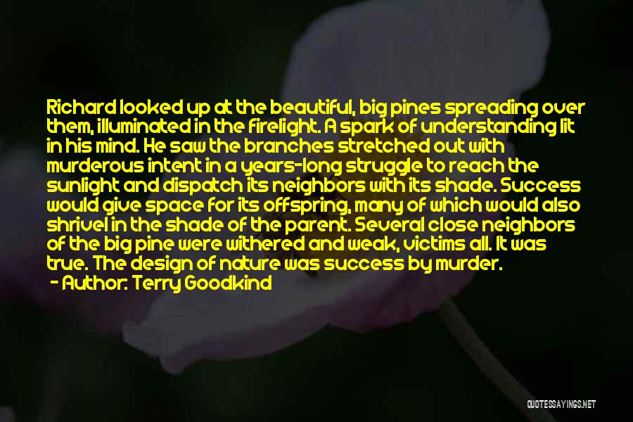 Terry Goodkind Quotes: Richard Looked Up At The Beautiful, Big Pines Spreading Over Them, Illuminated In The Firelight. A Spark Of Understanding Lit