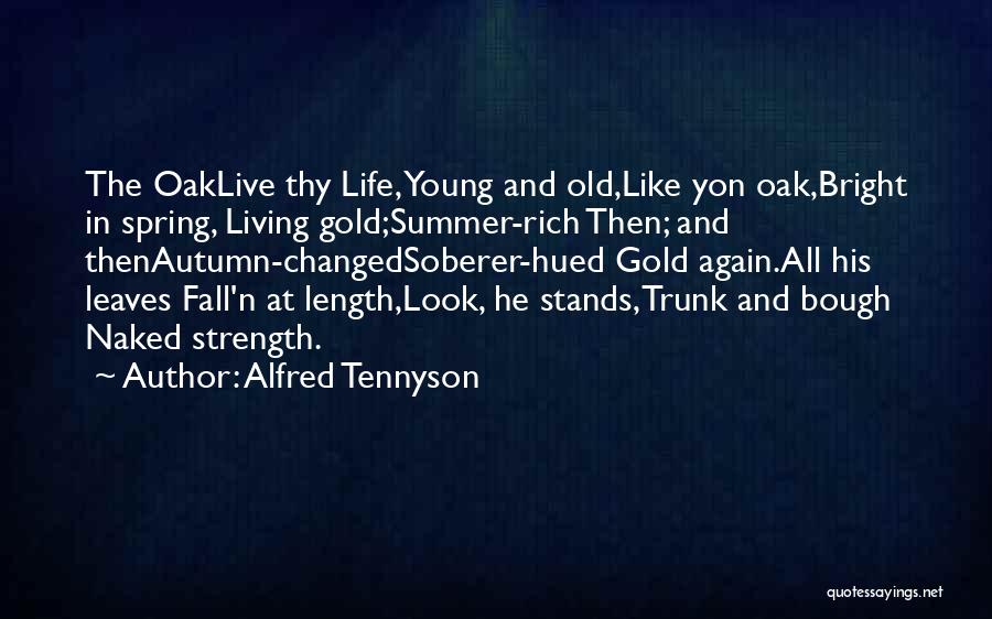 Alfred Tennyson Quotes: The Oaklive Thy Life, Young And Old,like Yon Oak,bright In Spring, Living Gold;summer-rich Then; And Thenautumn-changedsoberer-hued Gold Again.all His Leaves