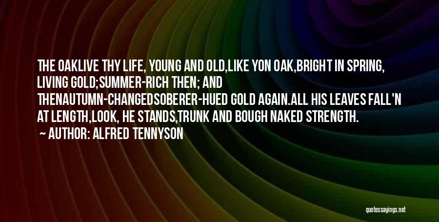 Alfred Tennyson Quotes: The Oaklive Thy Life, Young And Old,like Yon Oak,bright In Spring, Living Gold;summer-rich Then; And Thenautumn-changedsoberer-hued Gold Again.all His Leaves