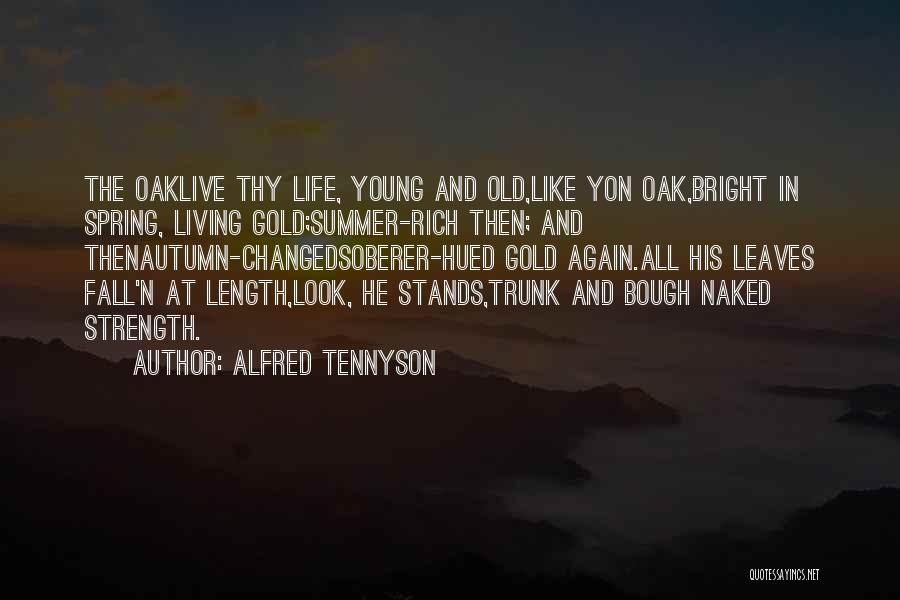 Alfred Tennyson Quotes: The Oaklive Thy Life, Young And Old,like Yon Oak,bright In Spring, Living Gold;summer-rich Then; And Thenautumn-changedsoberer-hued Gold Again.all His Leaves