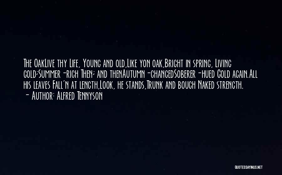 Alfred Tennyson Quotes: The Oaklive Thy Life, Young And Old,like Yon Oak,bright In Spring, Living Gold;summer-rich Then; And Thenautumn-changedsoberer-hued Gold Again.all His Leaves
