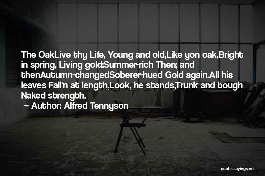 Alfred Tennyson Quotes: The Oaklive Thy Life, Young And Old,like Yon Oak,bright In Spring, Living Gold;summer-rich Then; And Thenautumn-changedsoberer-hued Gold Again.all His Leaves