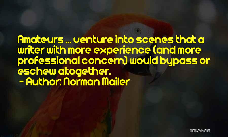 Norman Mailer Quotes: Amateurs ... Venture Into Scenes That A Writer With More Experience (and More Professional Concern) Would Bypass Or Eschew Altogether.