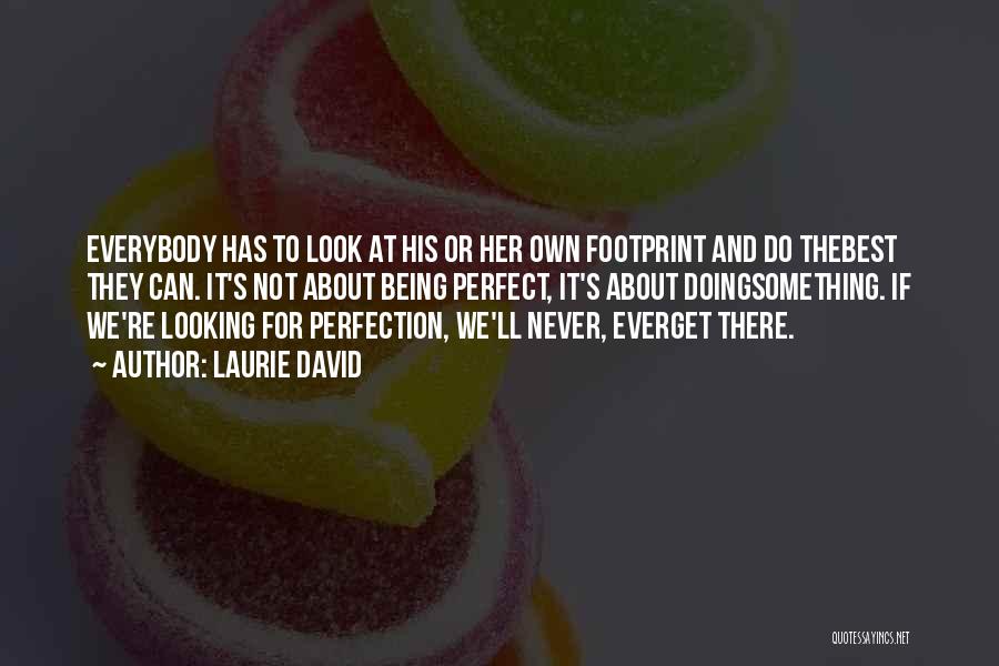 Laurie David Quotes: Everybody Has To Look At His Or Her Own Footprint And Do Thebest They Can. It's Not About Being Perfect,