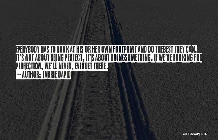 Laurie David Quotes: Everybody Has To Look At His Or Her Own Footprint And Do Thebest They Can. It's Not About Being Perfect,