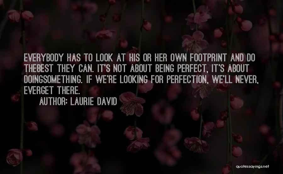 Laurie David Quotes: Everybody Has To Look At His Or Her Own Footprint And Do Thebest They Can. It's Not About Being Perfect,