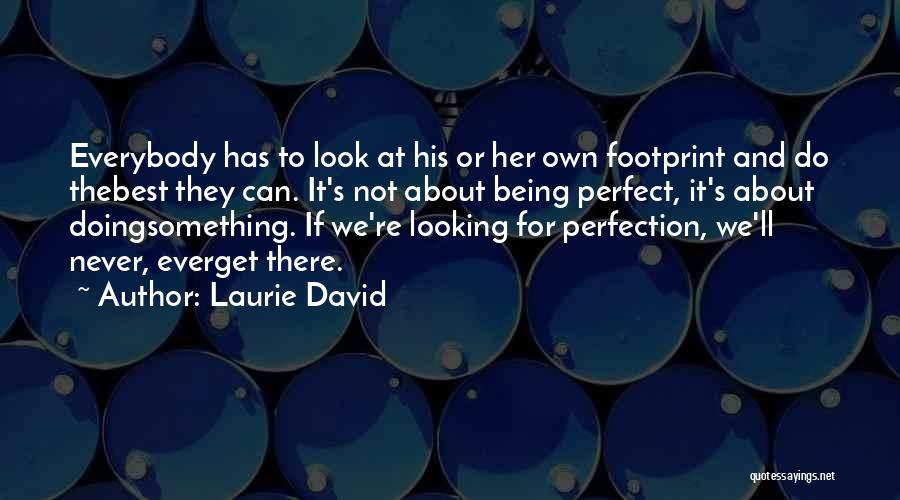 Laurie David Quotes: Everybody Has To Look At His Or Her Own Footprint And Do Thebest They Can. It's Not About Being Perfect,