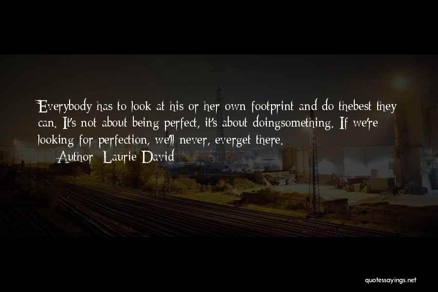 Laurie David Quotes: Everybody Has To Look At His Or Her Own Footprint And Do Thebest They Can. It's Not About Being Perfect,