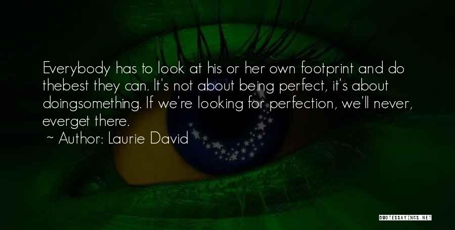 Laurie David Quotes: Everybody Has To Look At His Or Her Own Footprint And Do Thebest They Can. It's Not About Being Perfect,