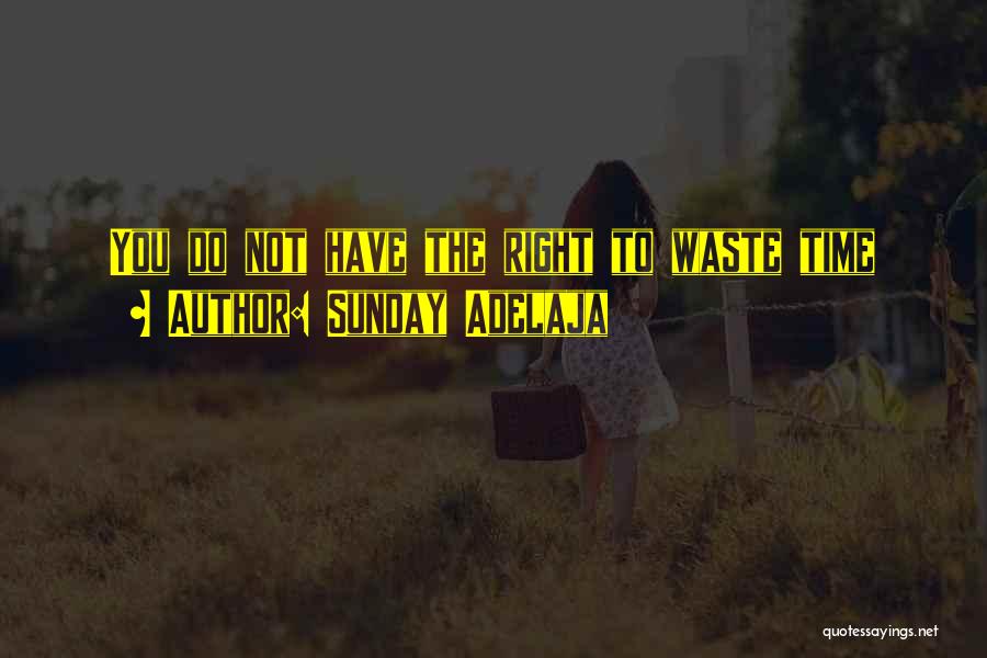 Sunday Adelaja Quotes: You Do Not Have The Right To Waste Time