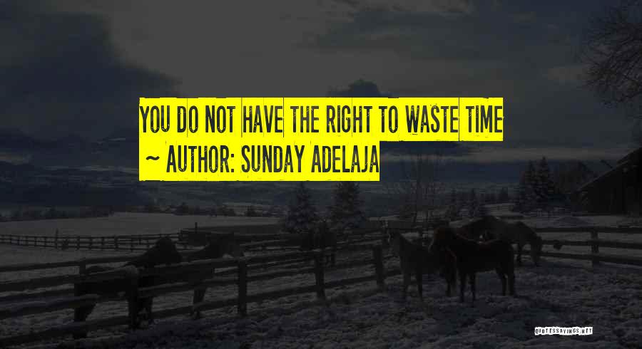 Sunday Adelaja Quotes: You Do Not Have The Right To Waste Time