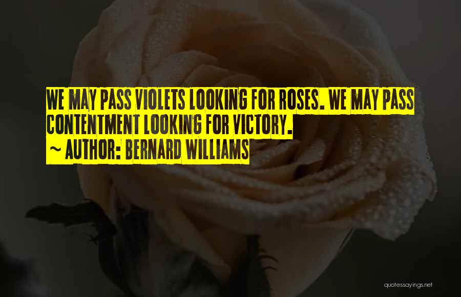 Bernard Williams Quotes: We May Pass Violets Looking For Roses. We May Pass Contentment Looking For Victory.