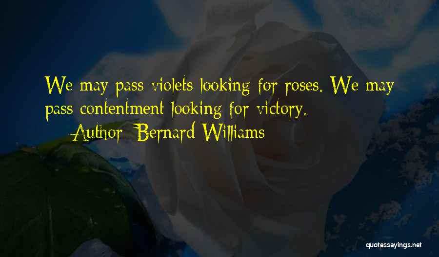 Bernard Williams Quotes: We May Pass Violets Looking For Roses. We May Pass Contentment Looking For Victory.