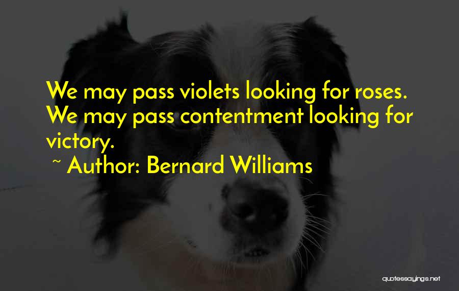 Bernard Williams Quotes: We May Pass Violets Looking For Roses. We May Pass Contentment Looking For Victory.