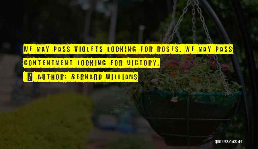Bernard Williams Quotes: We May Pass Violets Looking For Roses. We May Pass Contentment Looking For Victory.
