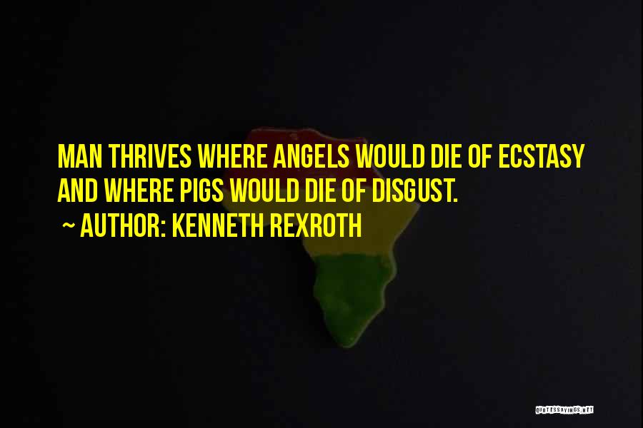 Kenneth Rexroth Quotes: Man Thrives Where Angels Would Die Of Ecstasy And Where Pigs Would Die Of Disgust.