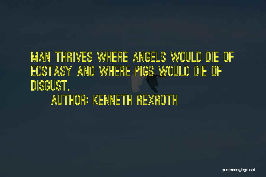 Kenneth Rexroth Quotes: Man Thrives Where Angels Would Die Of Ecstasy And Where Pigs Would Die Of Disgust.