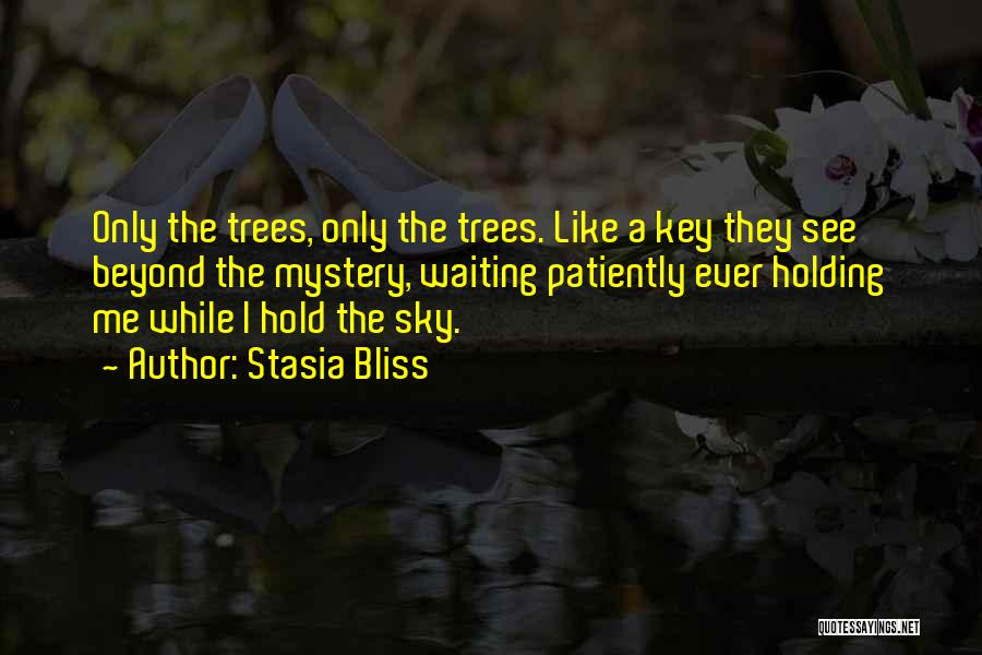 Stasia Bliss Quotes: Only The Trees, Only The Trees. Like A Key They See Beyond The Mystery, Waiting Patiently Ever Holding Me While