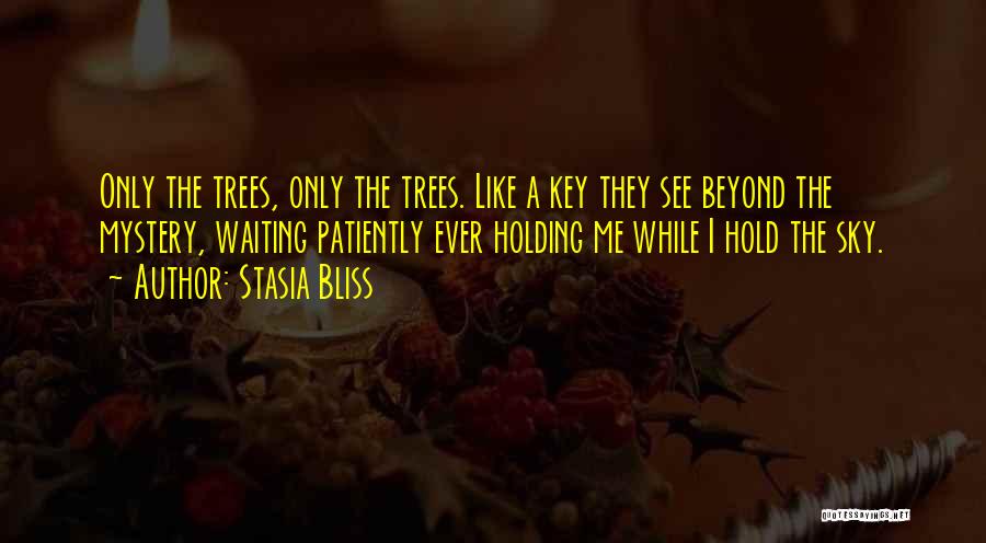 Stasia Bliss Quotes: Only The Trees, Only The Trees. Like A Key They See Beyond The Mystery, Waiting Patiently Ever Holding Me While