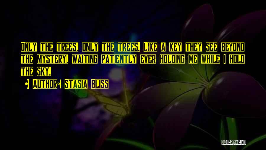 Stasia Bliss Quotes: Only The Trees, Only The Trees. Like A Key They See Beyond The Mystery, Waiting Patiently Ever Holding Me While