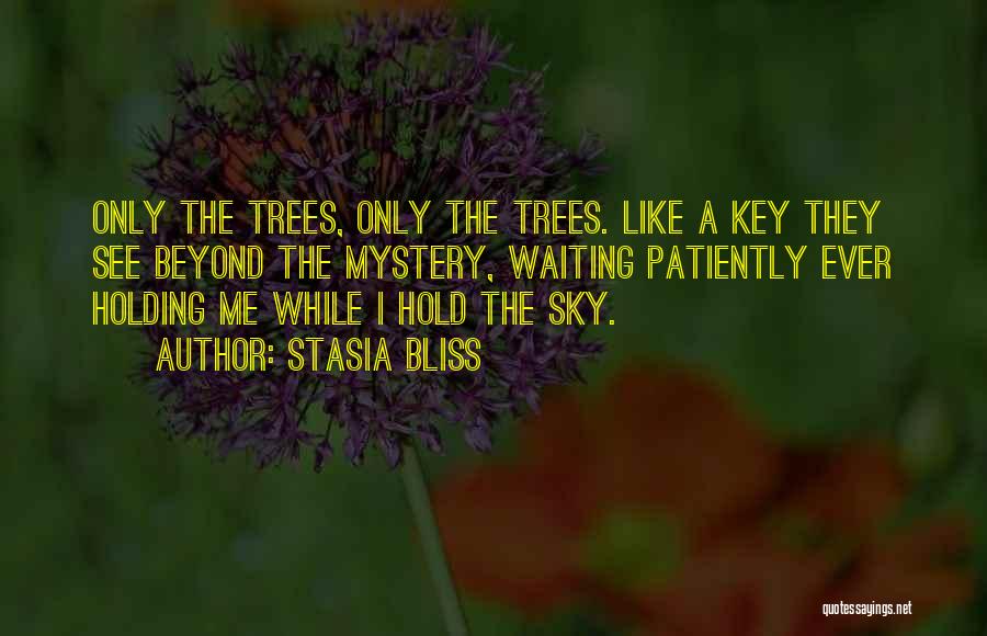 Stasia Bliss Quotes: Only The Trees, Only The Trees. Like A Key They See Beyond The Mystery, Waiting Patiently Ever Holding Me While