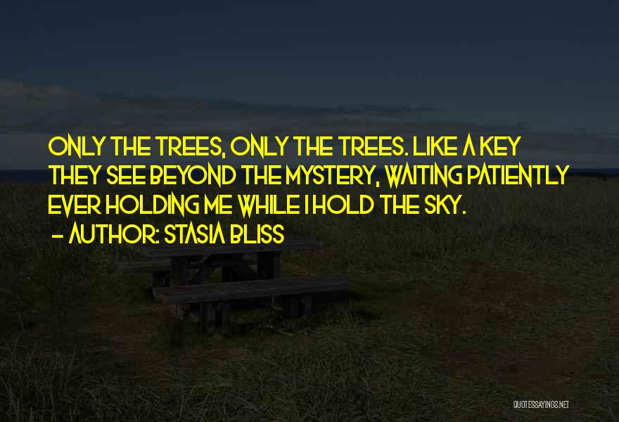 Stasia Bliss Quotes: Only The Trees, Only The Trees. Like A Key They See Beyond The Mystery, Waiting Patiently Ever Holding Me While