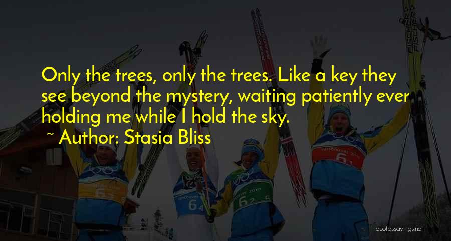 Stasia Bliss Quotes: Only The Trees, Only The Trees. Like A Key They See Beyond The Mystery, Waiting Patiently Ever Holding Me While