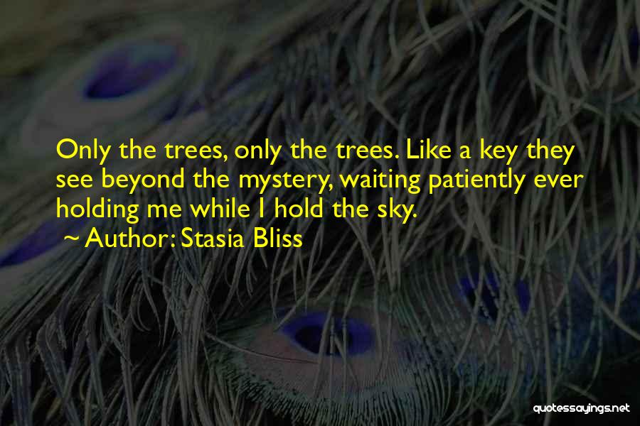 Stasia Bliss Quotes: Only The Trees, Only The Trees. Like A Key They See Beyond The Mystery, Waiting Patiently Ever Holding Me While