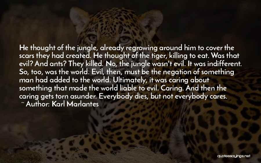 Karl Marlantes Quotes: He Thought Of The Jungle, Already Regrowing Around Him To Cover The Scars They Had Created. He Thought Of The