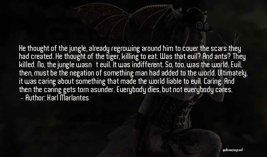 Karl Marlantes Quotes: He Thought Of The Jungle, Already Regrowing Around Him To Cover The Scars They Had Created. He Thought Of The