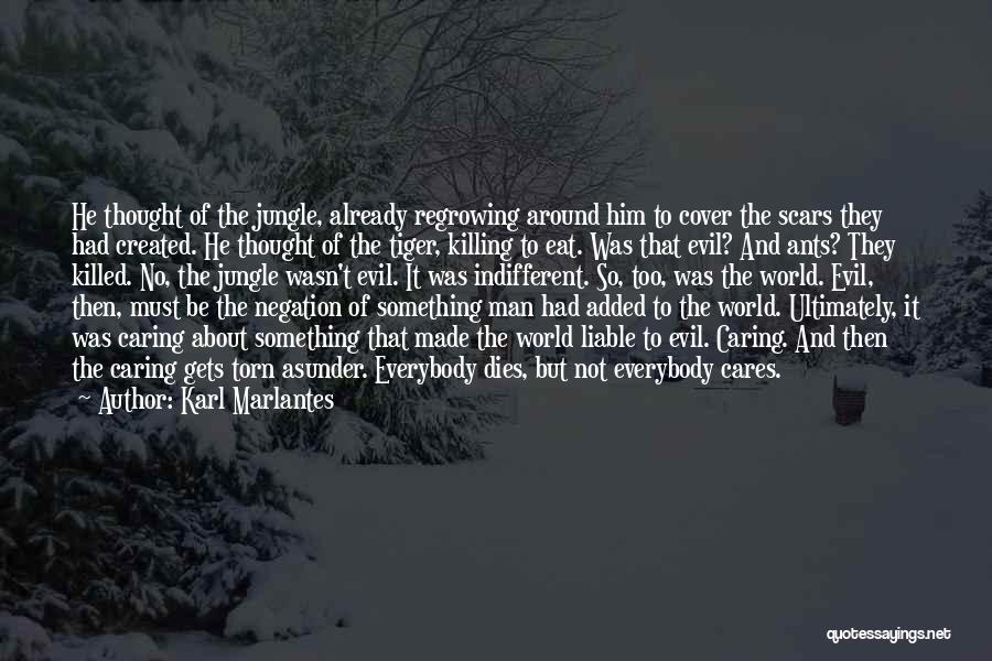 Karl Marlantes Quotes: He Thought Of The Jungle, Already Regrowing Around Him To Cover The Scars They Had Created. He Thought Of The