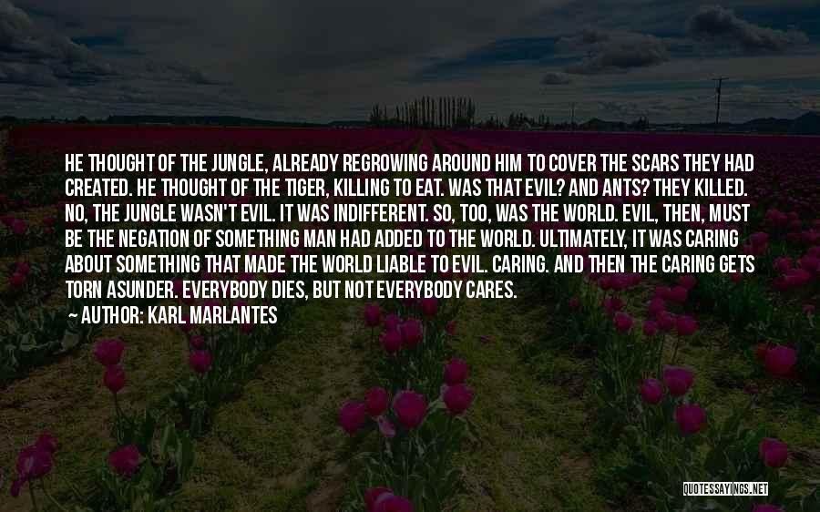 Karl Marlantes Quotes: He Thought Of The Jungle, Already Regrowing Around Him To Cover The Scars They Had Created. He Thought Of The