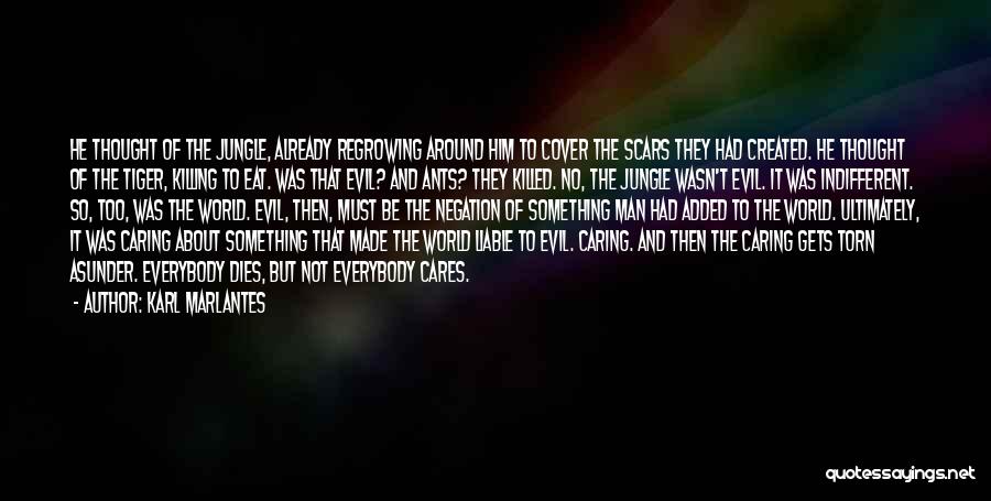Karl Marlantes Quotes: He Thought Of The Jungle, Already Regrowing Around Him To Cover The Scars They Had Created. He Thought Of The