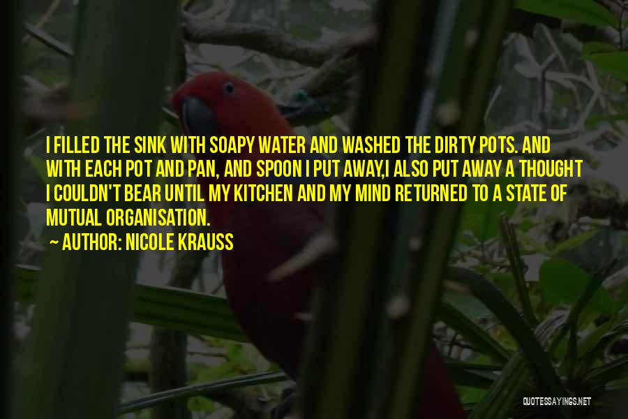 Nicole Krauss Quotes: I Filled The Sink With Soapy Water And Washed The Dirty Pots. And With Each Pot And Pan, And Spoon