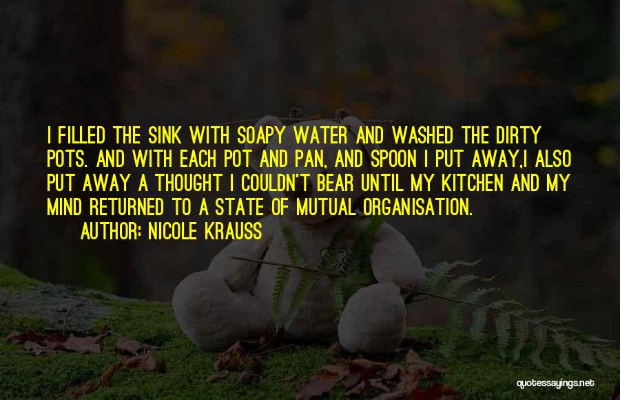 Nicole Krauss Quotes: I Filled The Sink With Soapy Water And Washed The Dirty Pots. And With Each Pot And Pan, And Spoon