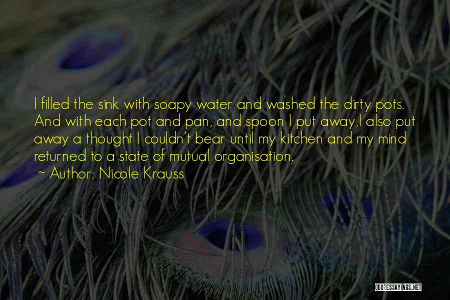 Nicole Krauss Quotes: I Filled The Sink With Soapy Water And Washed The Dirty Pots. And With Each Pot And Pan, And Spoon