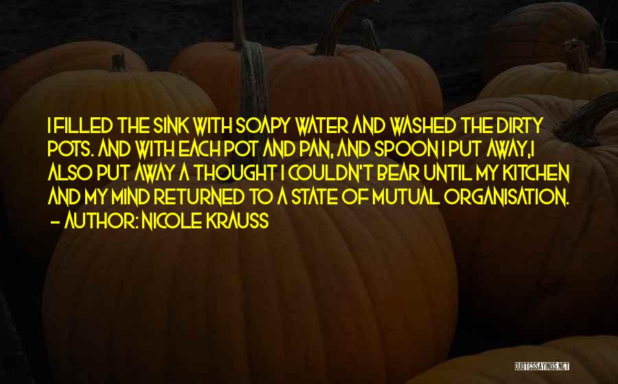 Nicole Krauss Quotes: I Filled The Sink With Soapy Water And Washed The Dirty Pots. And With Each Pot And Pan, And Spoon