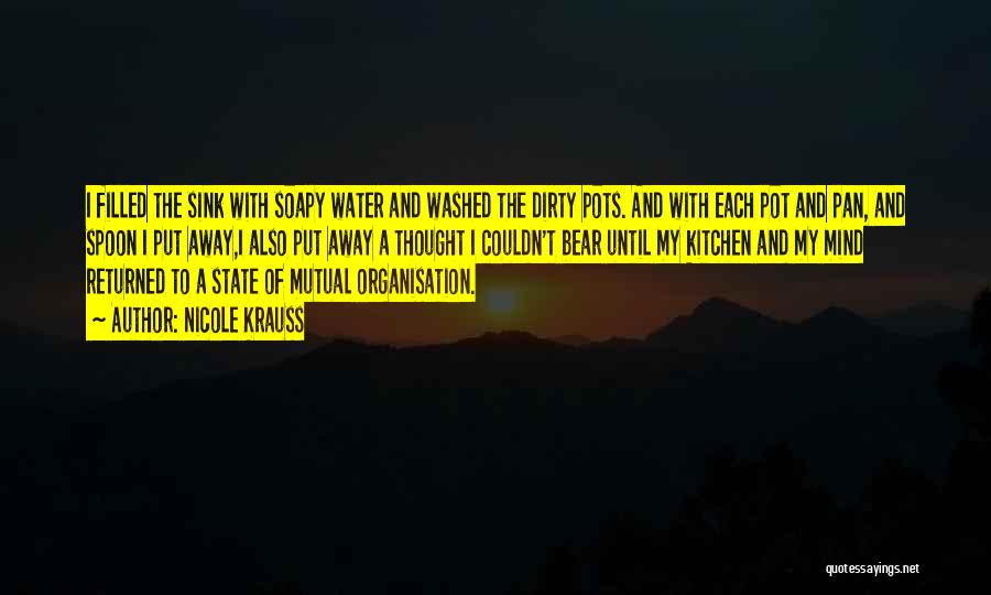 Nicole Krauss Quotes: I Filled The Sink With Soapy Water And Washed The Dirty Pots. And With Each Pot And Pan, And Spoon