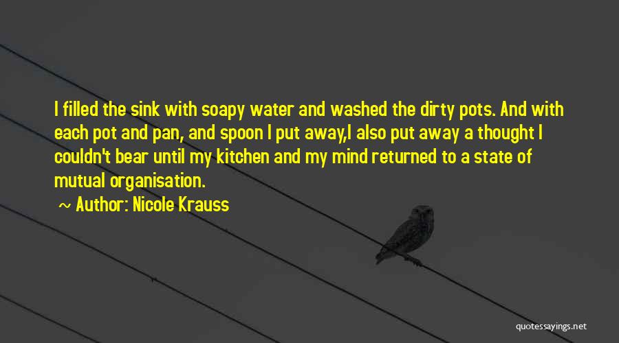 Nicole Krauss Quotes: I Filled The Sink With Soapy Water And Washed The Dirty Pots. And With Each Pot And Pan, And Spoon