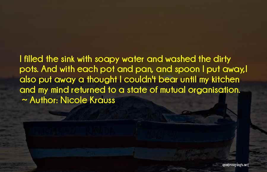 Nicole Krauss Quotes: I Filled The Sink With Soapy Water And Washed The Dirty Pots. And With Each Pot And Pan, And Spoon