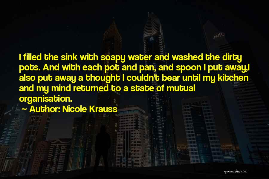 Nicole Krauss Quotes: I Filled The Sink With Soapy Water And Washed The Dirty Pots. And With Each Pot And Pan, And Spoon