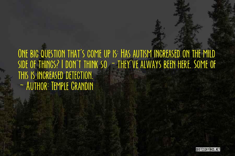 Temple Grandin Quotes: One Big Question That's Come Up Is: Has Autism Increased On The Mild Side Of Things? I Don't Think So