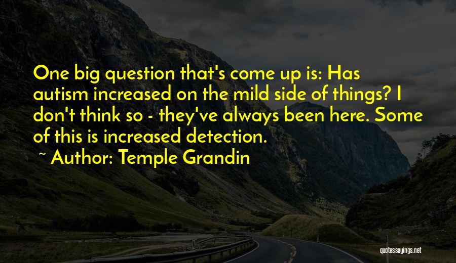 Temple Grandin Quotes: One Big Question That's Come Up Is: Has Autism Increased On The Mild Side Of Things? I Don't Think So