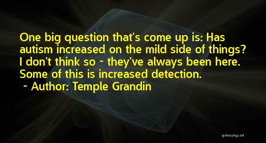 Temple Grandin Quotes: One Big Question That's Come Up Is: Has Autism Increased On The Mild Side Of Things? I Don't Think So