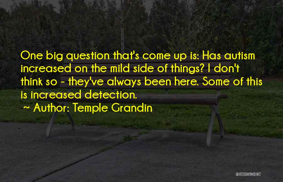 Temple Grandin Quotes: One Big Question That's Come Up Is: Has Autism Increased On The Mild Side Of Things? I Don't Think So